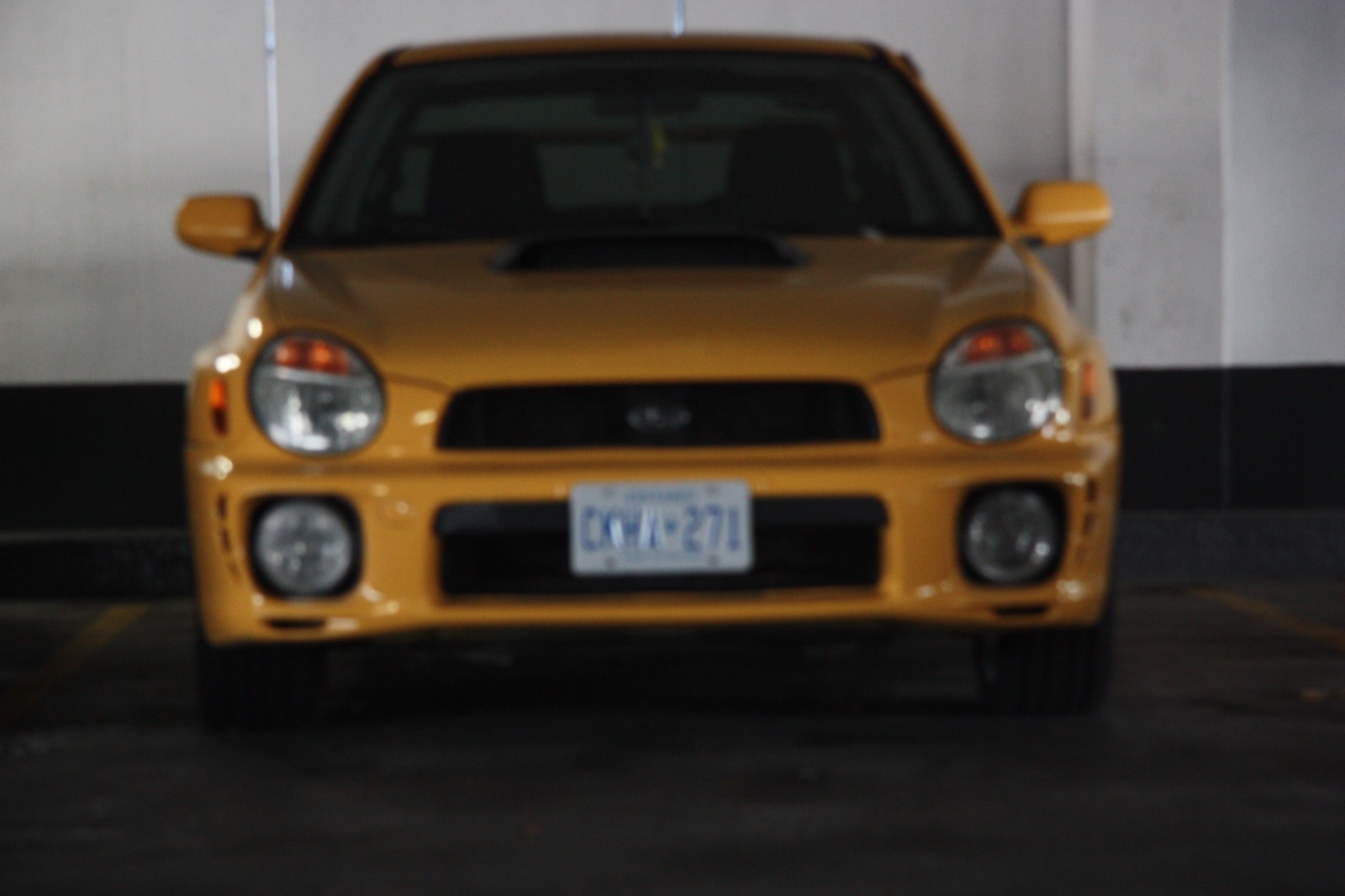 Front of a yellow Subaru WRX